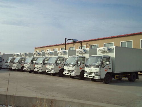 上海閔行海鮮冷鏈物流上海閔行冷藏貨運冷鏈費用